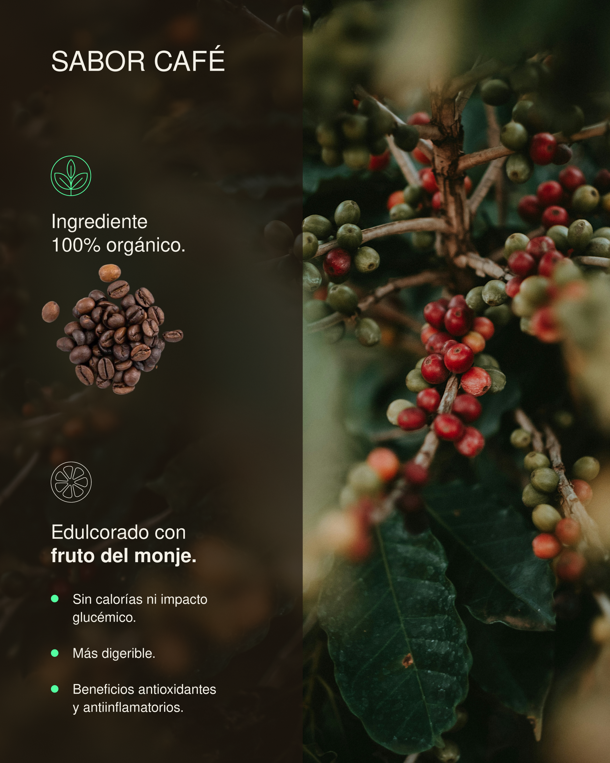 Proteína + Creatina Cafe