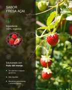 Proteína + Creatina Fresa Açaí