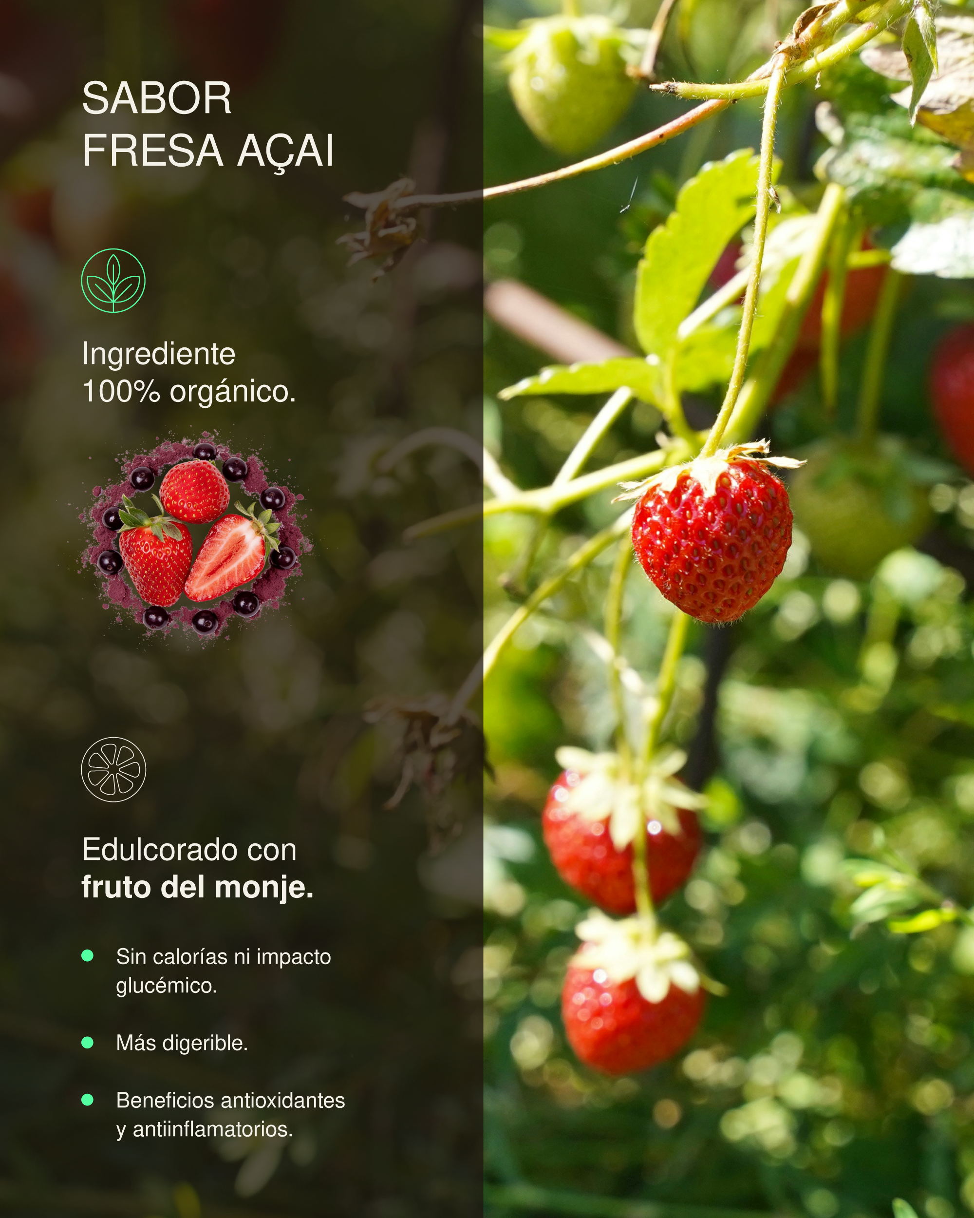 Proteína + Creatina Fresa Açaí